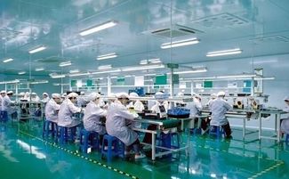 給出的返費(fèi)高真的好嗎