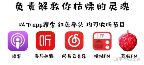 網(wǎng)絡(luò)電臺(tái)的復(fù)興與未來(lái) 音頻內(nèi)容消費(fèi)的新藍(lán)海