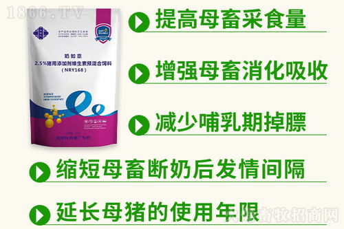 熱門畜牧信息 產品資訊 火爆畜牧招商網