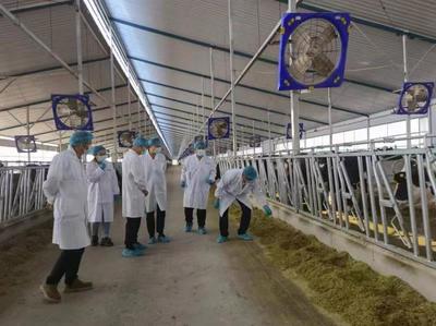 鄂爾多斯市又有一家企業(yè)申報有機(jī)產(chǎn)品通過現(xiàn)場檢查