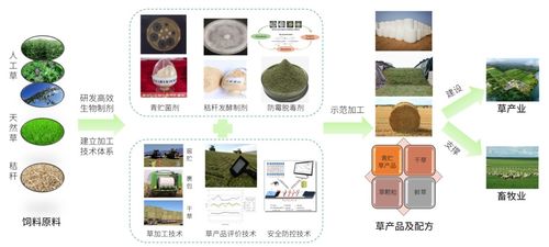 破解 人畜爭糧 ,提升飼草加工水平,這是制約我國畜牧業(yè)發(fā)展的重要問題
