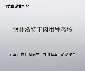 錫林浩特市肉用種雞場(chǎng)