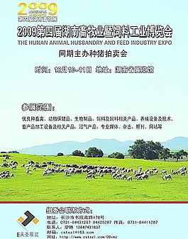 畜牧展海報(bào)圖片_畜牧展海報(bào)素材_畜牧展海報(bào)模板免費(fèi)下載