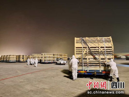 四川近年來最大規模種豬進境 首批1040頭丹麥種豬落戶宜賓